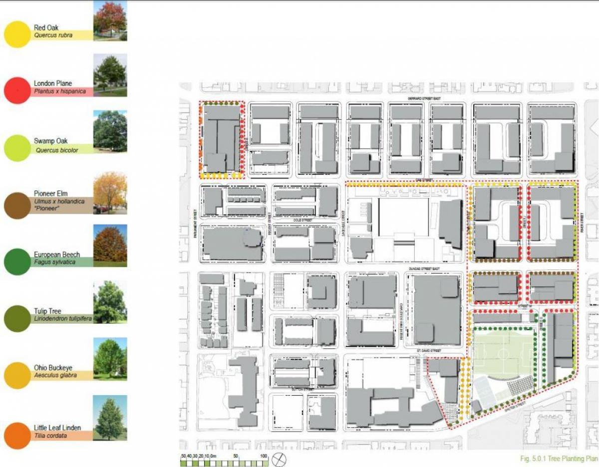Mapa Revitalizačného plánu Regent Park Toronto fáza 3