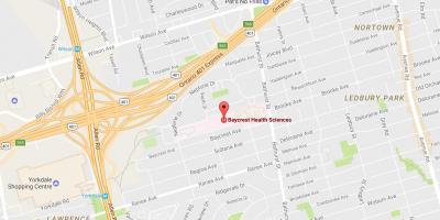 Mapa Baycrest zdravotníckych Vied Toronto