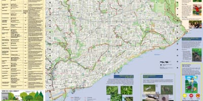 Mapa parkov a pešie chodníky Toronto East
