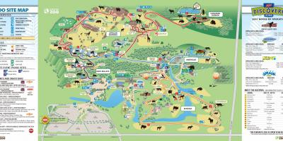 Mapu Toronto zoo